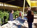 Mercadillo de Minerales. Centro Cultural las Cigarreras. Alicante