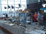 GMA. FIPAL. II Feria de Fósiles, Minerales y Malacología. Alcoy