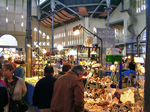 GMA. XIII Feria de Minerales y Fósiles de la Unión