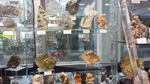 GMA. 1ª Feria de Minerales de Elche