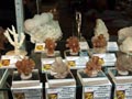 GMA. XX Feria de Minerales y Fósiles. La Unión