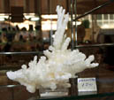 GMA. 2ª Feria de Minerales de Elche