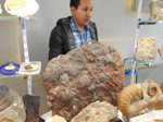 FEM. MINERALIA´s SEVILLA. II Exposición-Bolsa Internacinal de Minerales, Fósiles y Gemas