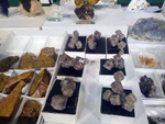 XI Feria de Minerales de Colmenar Viejo 