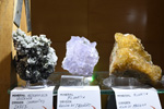 36ª Feria de Minerales, Fósiles y Gemas. MINERVAL 2023