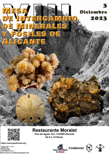 VIII Mesa de Intercambio de Minerales y Fósiles de Alicante