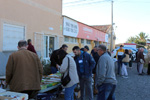 VIII Mesa de Intercambio de Minerales y Fósiles de Alicante. 