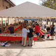 Feria  de Minerales de Linares 2024 