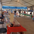 Feria  de Minerales de Linares 2024 