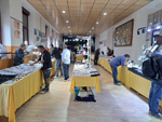 3ª EXPOFERIA MINERALES Y FOSILES. PIEDRALAVES 