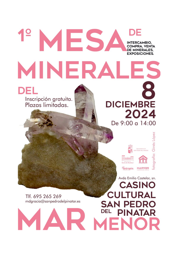 I Mesa de Minerales del Mar Menor. San Pedro del Pinatar.