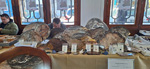 I Mesa de Minerales del Mar Menor. San Pedro del Pinatar 