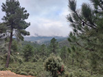 Minas del Horcajo. ALmodovar del Campo. Ciudad Real