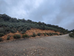 Minas del Horcajo. ALmodovar del Campo. Ciudad Real