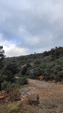 Minas del Horcajo. ALmodovar del Campo. Ciudad Real