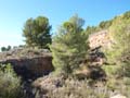 GMA. Casa de litero en la Foia Castalla y Font de les terres en Agost