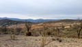 CERRO GORDO , PARAJE OLLA CALÍ. SERÓN – ALMERÍA