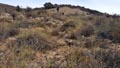 CERRO GORDO , PARAJE OLLA CALÍ. SERÓN – ALMERÍA