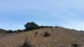 CERRO GORDO , PARAJE OLLA CALÍ. SERÓN – ALMERÍA