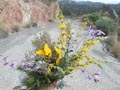 Alrededores de la Cantera de Pavasal. Triásico de Finestrat Alicante