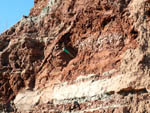 Grupo Mineralógico de Alicante. Barranco de los Ojos. Aspe. Alicante