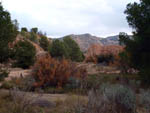 Grupo Mineralógico de Alicante. Barranco de los Ojos. Aspe. Alicante