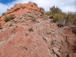 Grupo Mineralógico de Alicante. Los Yesares. Camporrobles. Valencia