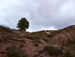 Grupo Mineralógico de Alicante. Los Yesares. Camporrobles. Valencia