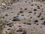 Grupo Mineralógico de Alicante. Aragonito. LCabezo de la Mina. Santomera. Murcia