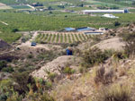 Grupo Mineralógico de Alicante. Aragonito. LCabezo de la Mina. Santomera. Murcia