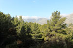 Grupo Mineralógico de Alicante. canteras de Porfido. Sierra de Oltra.Calpe. Alicante