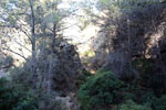 Grupo Mineralógico de Alicante. canteras de Porfido. Sierra de Oltra.Calpe. Alicante