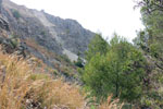 Grupo Mineralógico de Alicante. canteras de Porfido. Sierra de Oltra.Calpe. Alicante