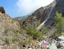 Grupo Mineralógico de Alicante. canteras de Porfido. Sierra de Oltra.Calpe. Alicante