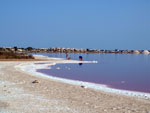 Grupo Mineralógico de Alicante.Salinas de Torrevieja