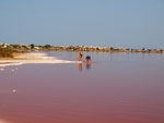 Grupo Mineralógico de Alicante.Salinas de Torrevieja