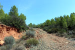 Grupo Mineralógico de Alicante.Mina San Antonio. Cehegín.  Murcia.