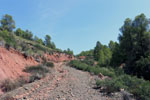 Grupo Mineralógico de Alicante.Mina San Antonio. Cehegín.  Murcia.