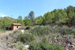 Grupo Mineralógico de Alicante.Mina San Antonio. Cehegín.  Murcia.