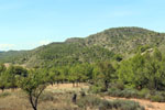 Grupo Mineralógico de Alicante.Mina San Antonio. Cehegín.  Murcia.