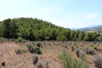 Grupo Mineralógico de Alicante.Mina San Antonio. Cehegín.  Murcia.