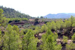 Grupo Mineralógico de Alicante.Mina San Antonio. Cehegín.  Murcia.