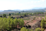 Grupo Mineralógico de Alicante.Mina San Antonio. Cehegín.  Murcia.