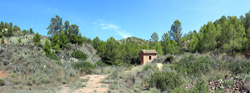 Grupo Mineralógico de Alicante.Mina San Antonio. Cehegín.  Murcia.