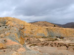 Grupo Mineralógico de Alicante.Cantera de áridos El Cabra. San Vicente del Raspeig. Alicante