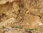 Grupo Mineralógico de Alicante.Cantera de áridos El Cabra. San Vicente del Raspeig. Alicante