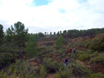 Grupo Mineralógico de Alicante. Los Molinillos. Minglanilla.  Cuenca