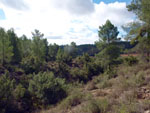 Grupo Mineralógico de Alicante. Los Molinillos. Minglanilla.  Cuenca