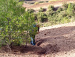 Grupo Mineralógico de Alicante. Los Molinillos. Minglanilla.  Cuenca