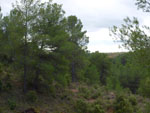 Grupo Mineralógico de Alicante. Los Molinillos. Minglanilla.  Cuenca